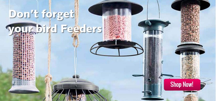 slider_bird-feeders