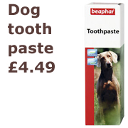 Dog toothpaste