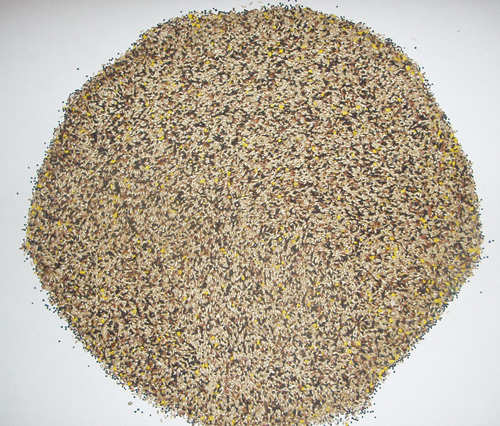 Mixed Canary Seed