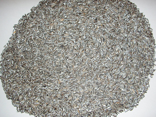 Striped Sunflower seeds