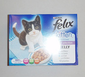 Felix Kitten