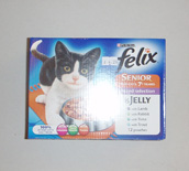 Felix Senior in Jelly